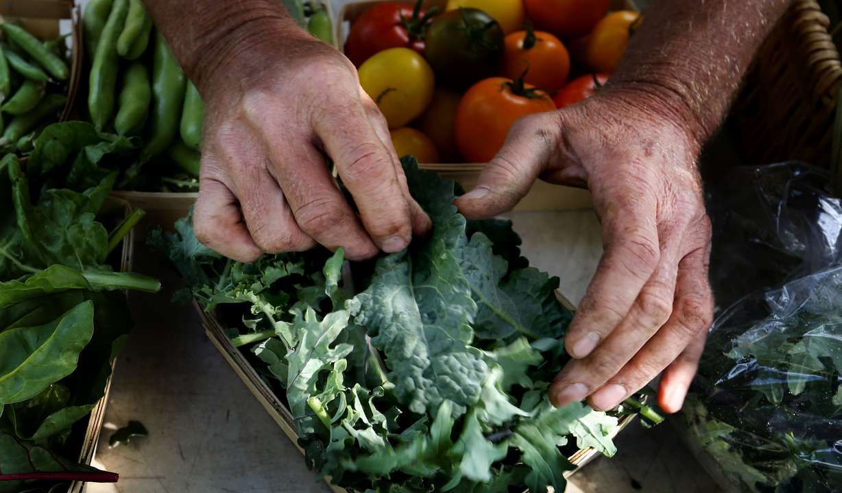 (Laura Seitz, Deseret News)