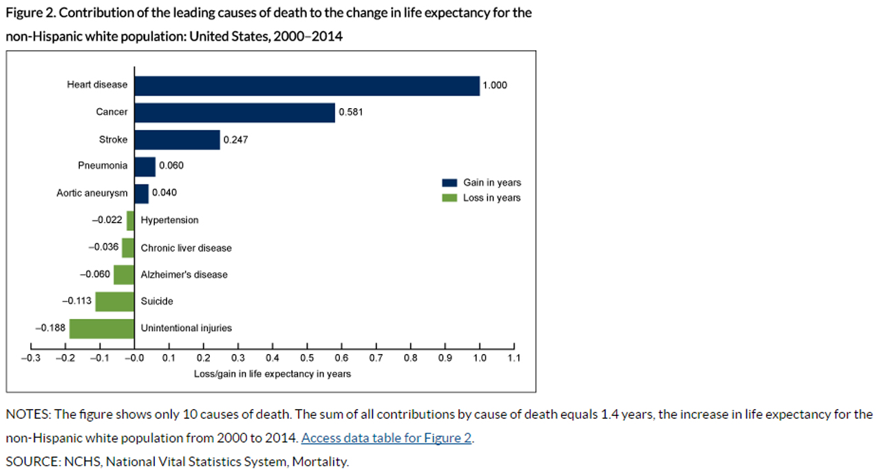 Click for larger view. Photo: CDC