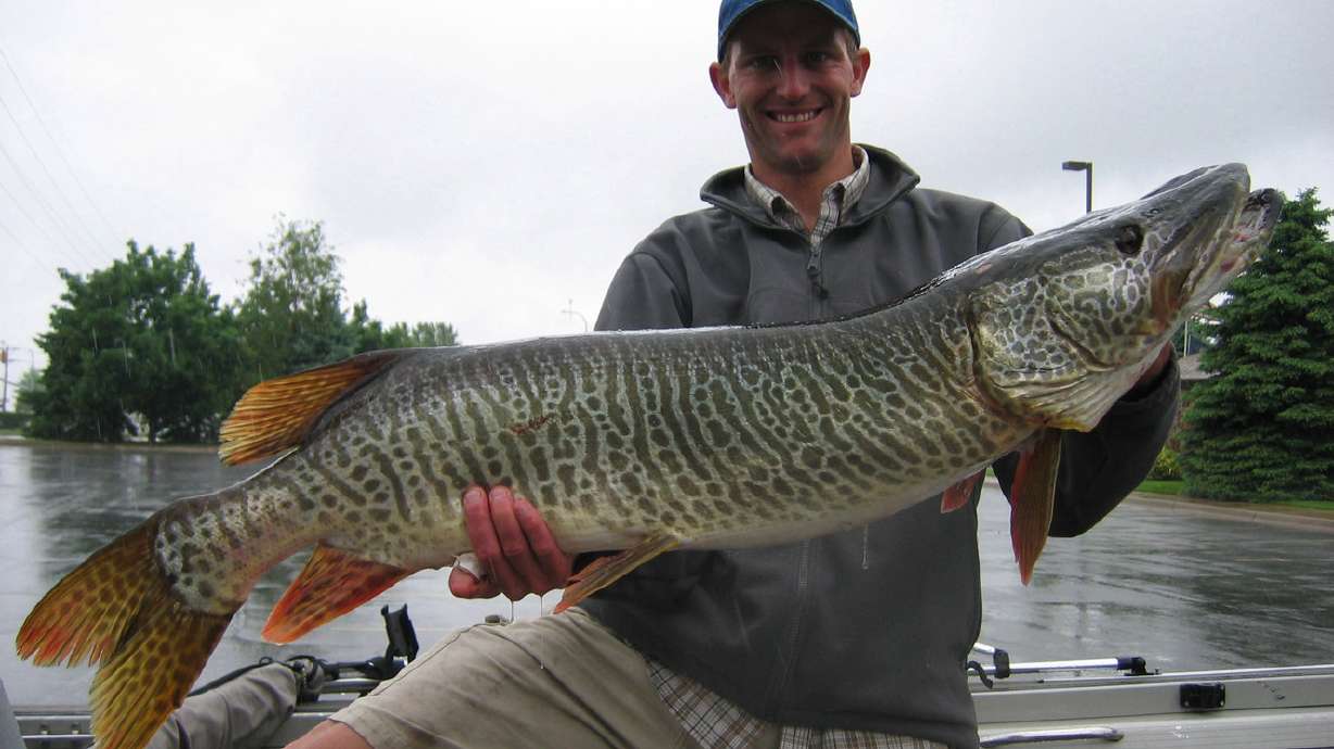 Should corn be legal fishing bait in Utah? DWR wants feedback
