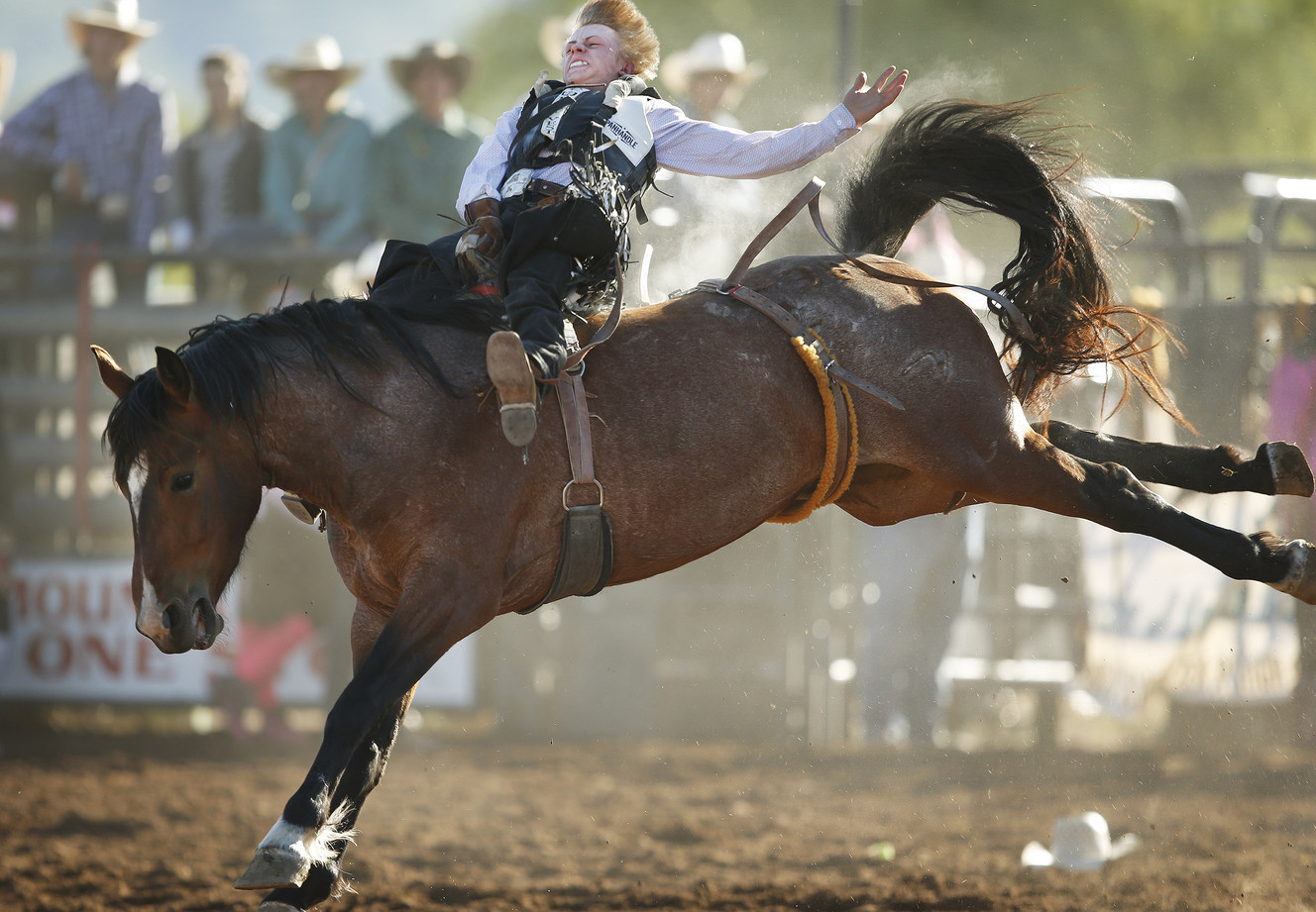 Photo: Jeffrey D. Allred, Deseret News