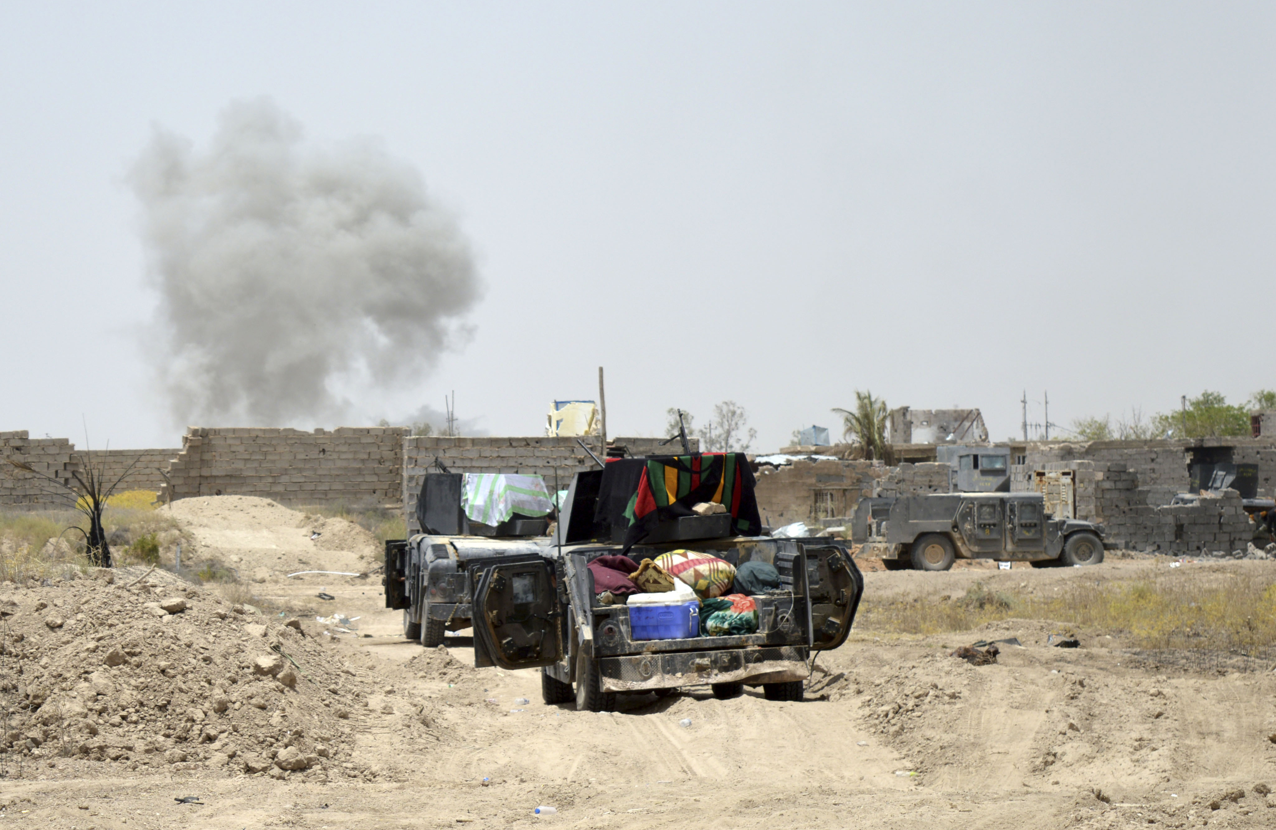 Allegations of human rights violations in Fallujah fight