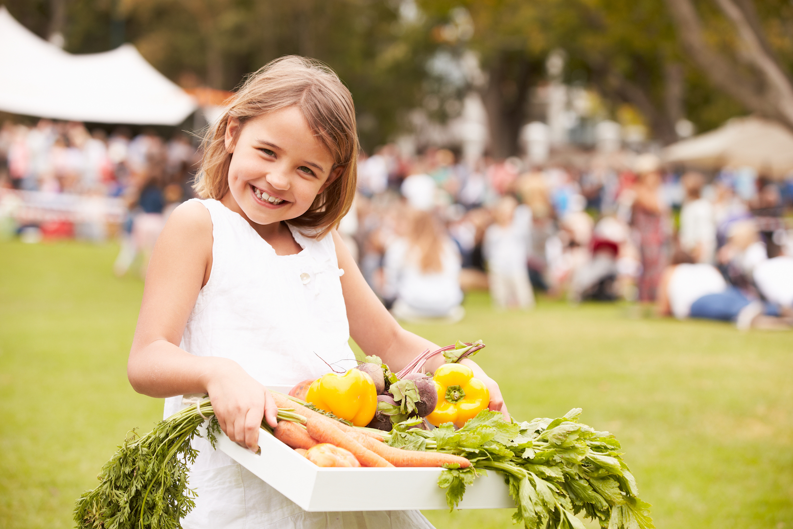 Utah County farmers markets, concert series ideal for family fun