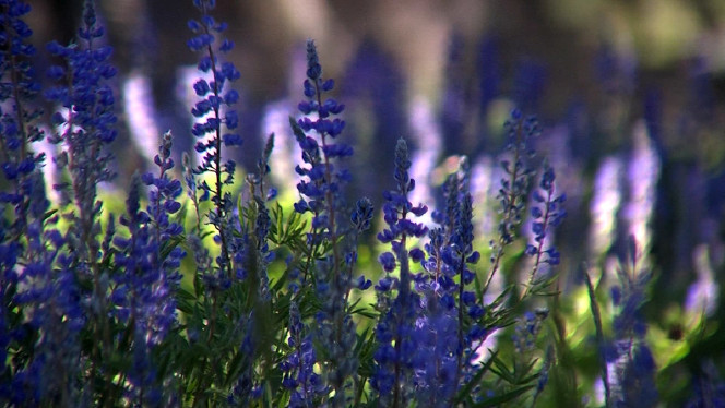 Photo: Ray Boone/KSL-TV file photo