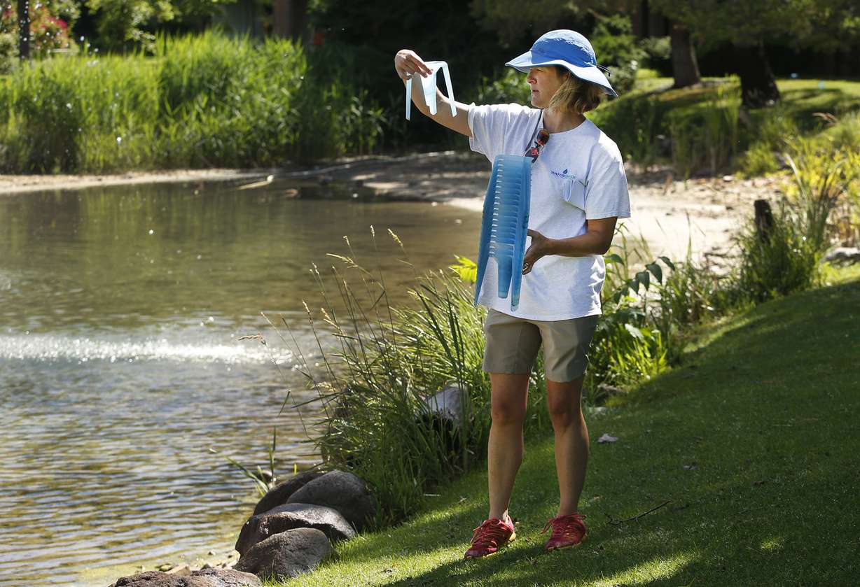 Utah State University professor Kelly Kopp measures collected sprinkler water as she conducts a water check at Brickyard Condominiums in Salt Lake City on Tuesday, June 14, 2016. USU Extension, along with the Jordan Valley Water Conservancy District and the Metropolitan Water District of Salt Lake and Sandy, cooperate in Slow the Flow Water Check program. (Photo: Jeffrey D. Allred, Deseret News)