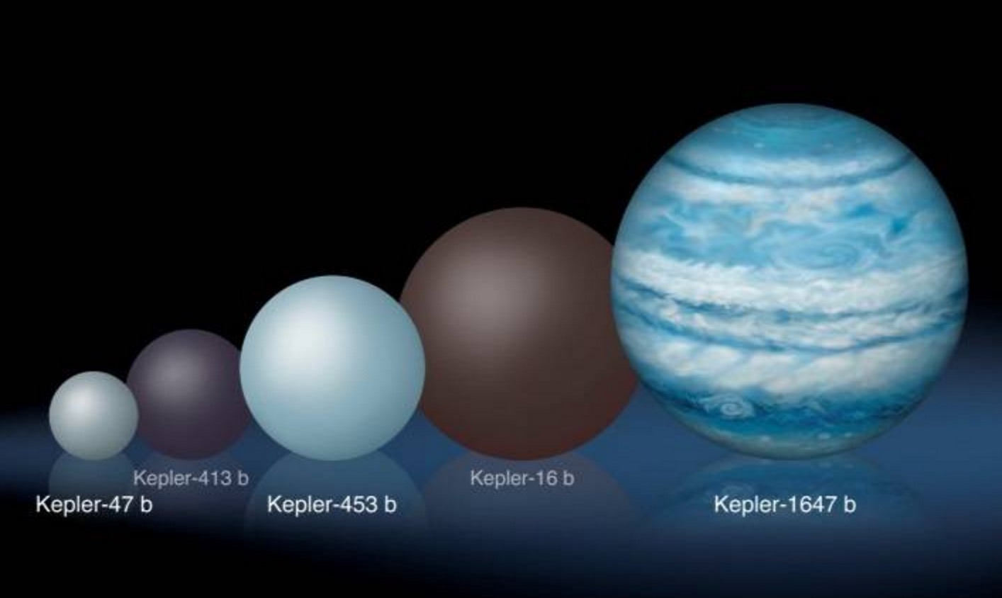 Comparison of the relative sizes of several Kepler circumbinary planets. Kepler-1647 b is substantially larger than any of the previously known circumbinary planets. Credits: Lynette Cook