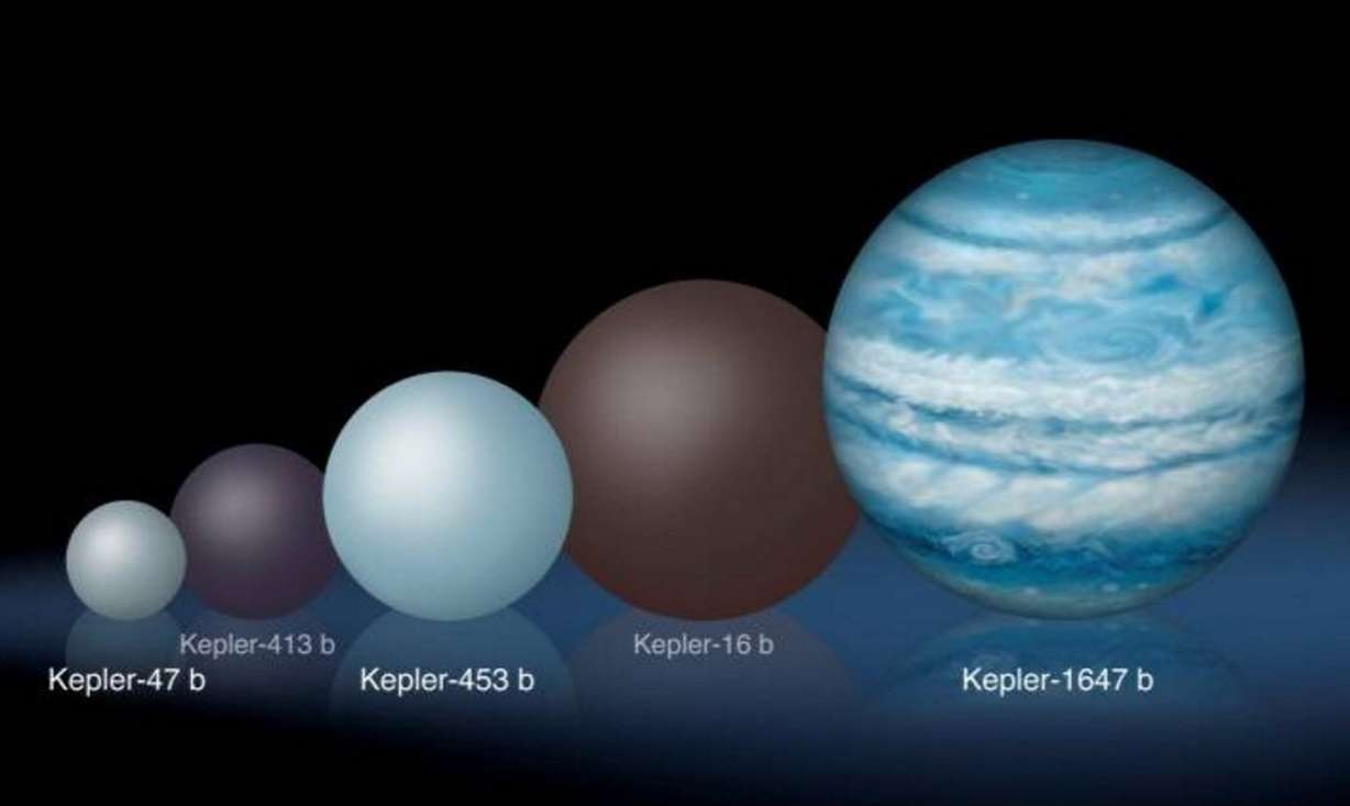 Comparison of the relative sizes of several Kepler circumbinary planets. Kepler-1647 b is substantially larger than any of the previously known circumbinary planets. Credits: Lynette Cook