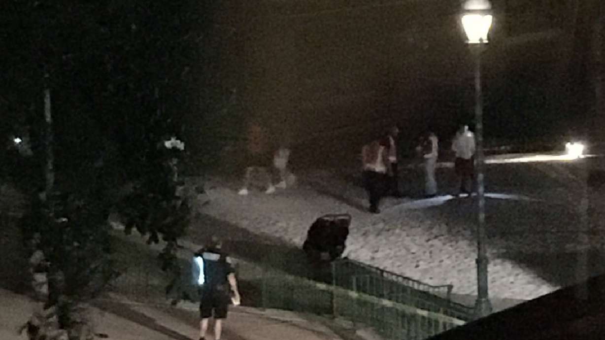 Deputies: Gator drags toddler into water near Disney resort