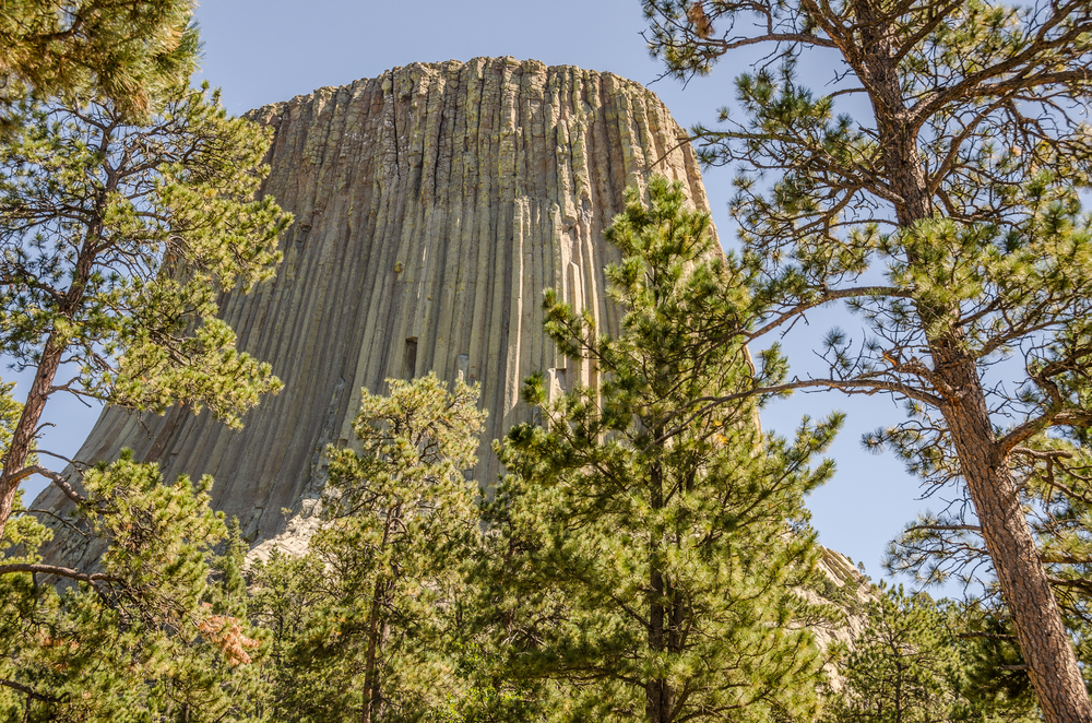 Devil's Tower. Photo: Sue Smith, Shutterstock