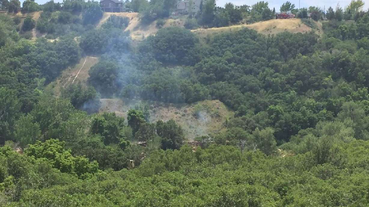 Crews fight small wildfire at Tanner Park