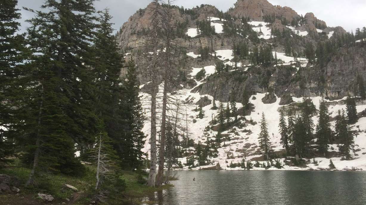Escape summer heat by hiking to White Pine Lake