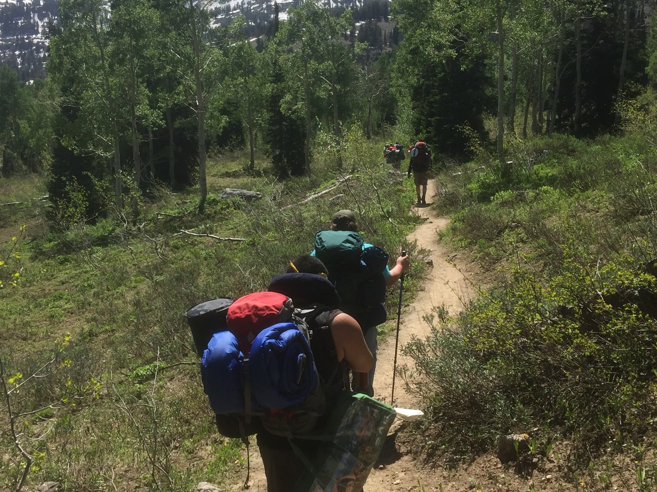 Photo credit: Bryce Jolley