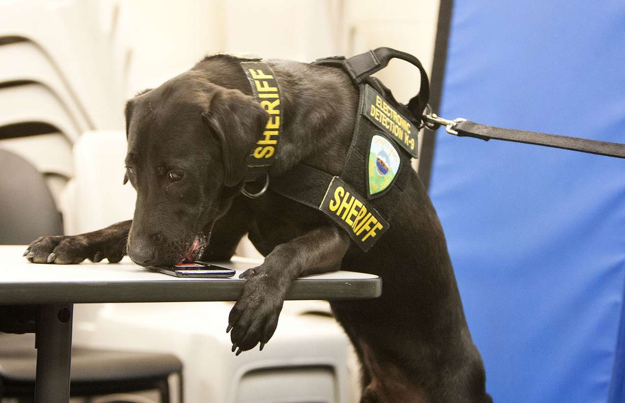 URL — pronounced Earl — locates a cellphone during a demonstration at the Weber County Sheriff's Office in Ogden on Tuesday, June 21, 2016. (Photo: Hans Koepsell, Deseret News)