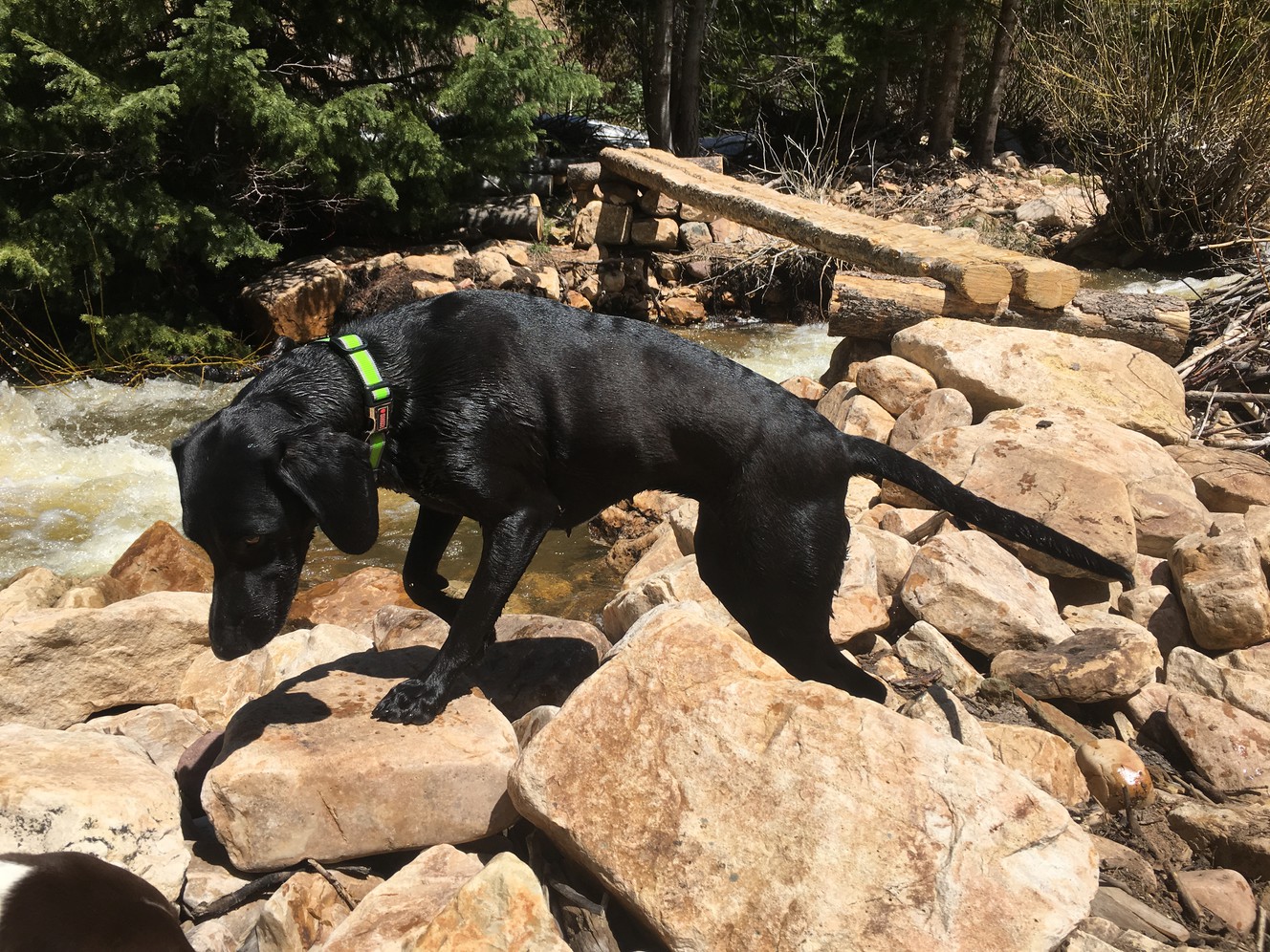 Photo credit: Mike Radice, KSL TV