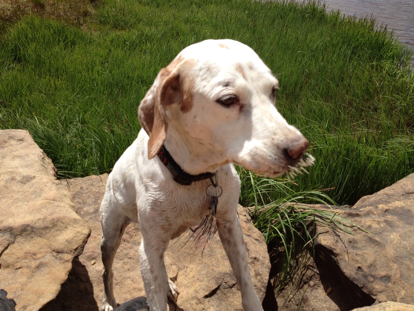 Photo credit: Mike Radice, KSL TV