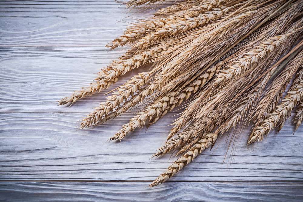 (Photo: mihalec, Shutterstock)