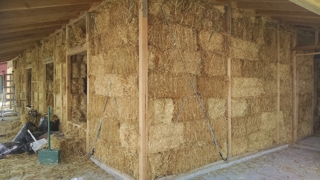 Photo: Courtesy of the Johnson Family