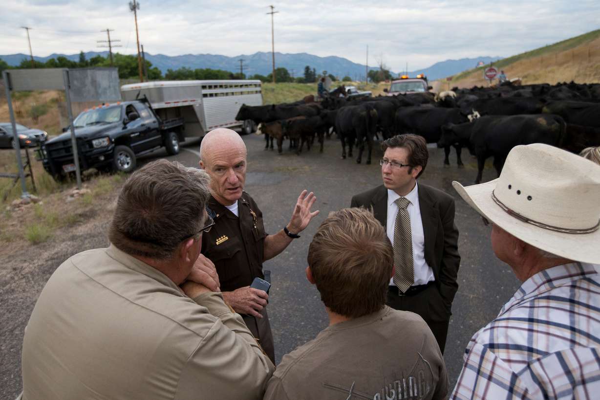 Utah Highway Patrol Lt. Mike Loveland, second from left, talks to Shane Pentz, Klayton Pentz, attorney Aaron Bergman and Steve Pentz, left to right, as the family waits to find a legal way to get their cattle up the I-84 on-ramp in Morgan so they can drive them to their summer pastures above Croydon on Thursday, June 30, 2016. (Photo: Spenser Heaps, Deseret News)