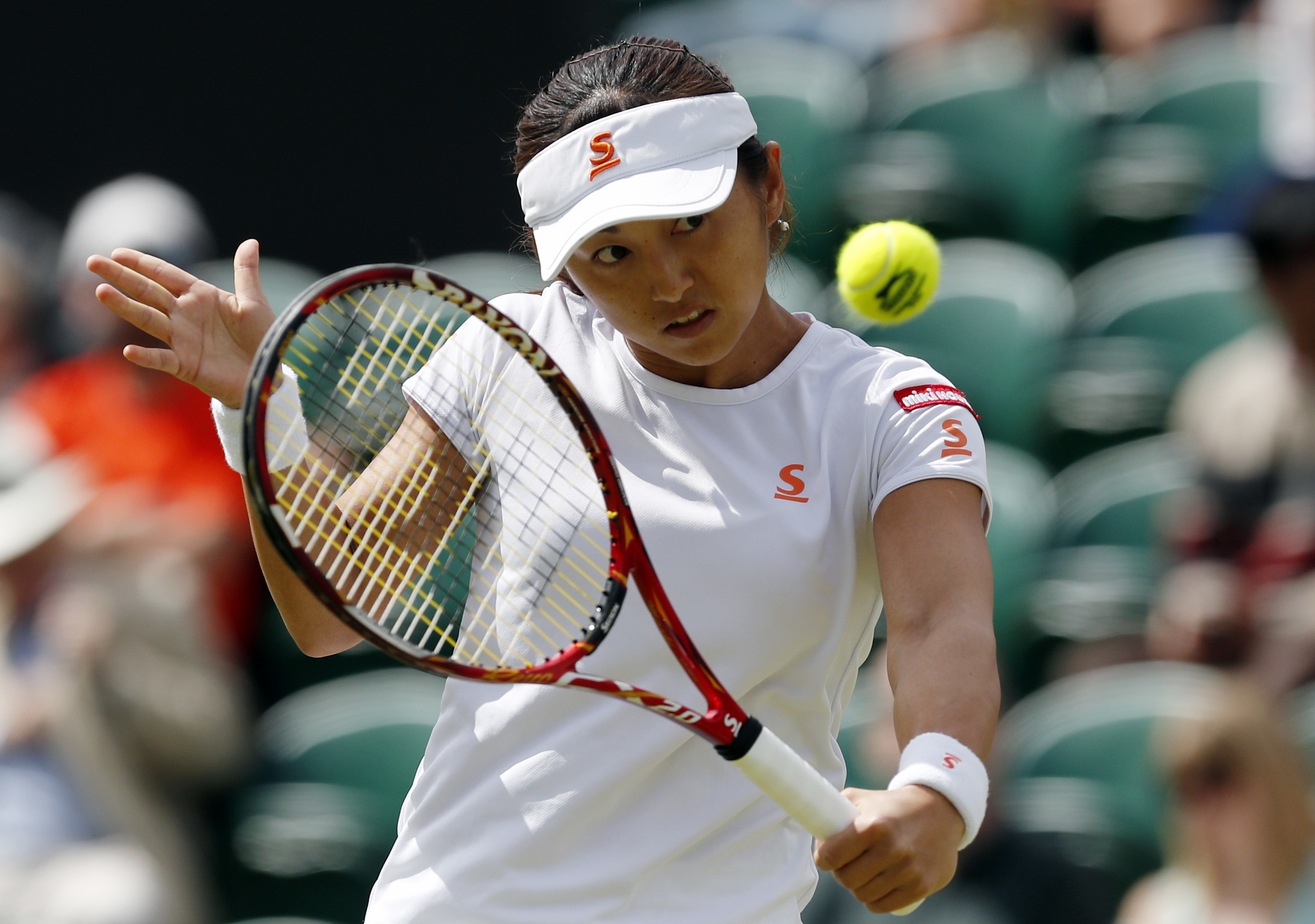 The Latest: Berdych-Vesely match suspended by darkness