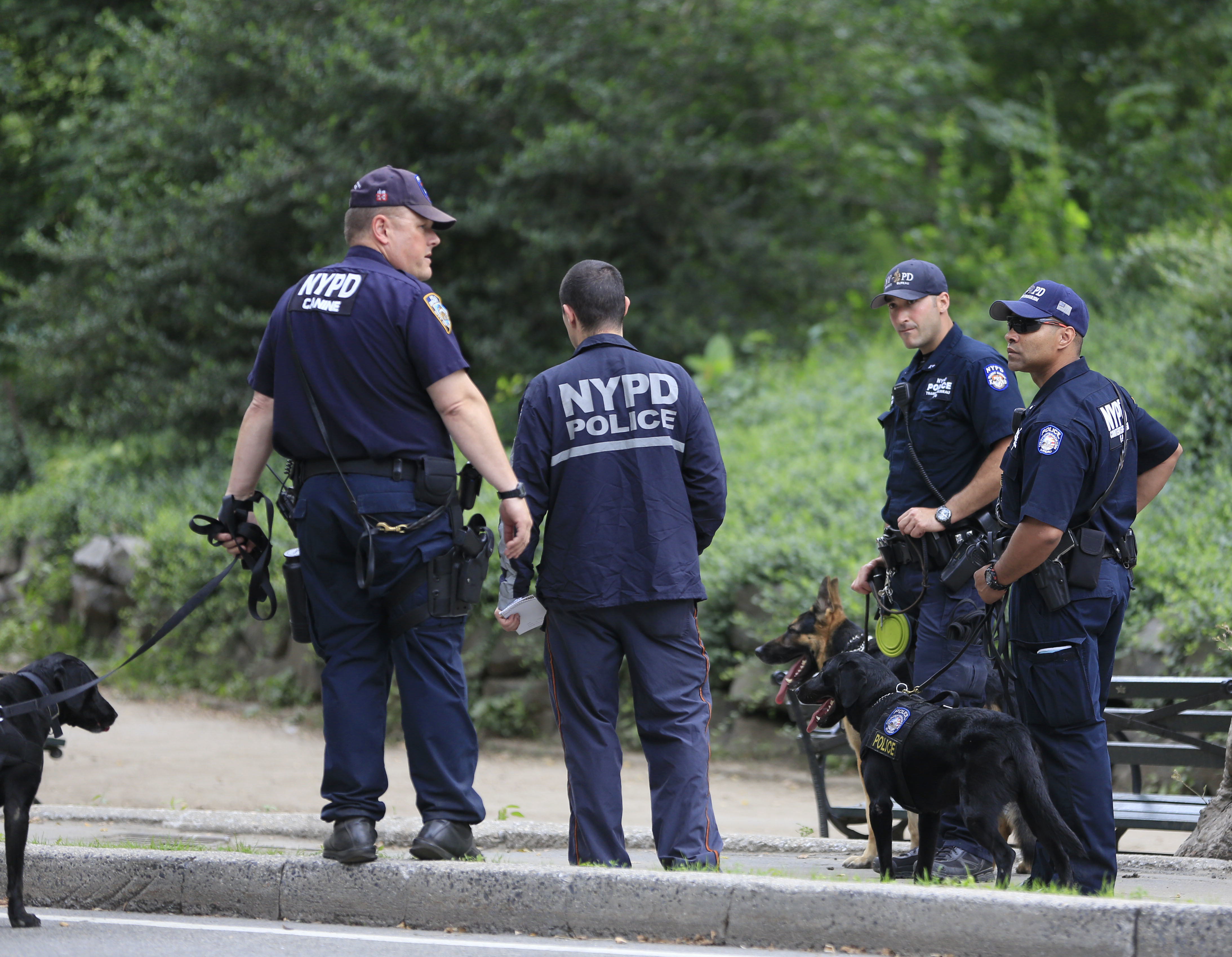 The Latest: Police testing Central Park explosive compound