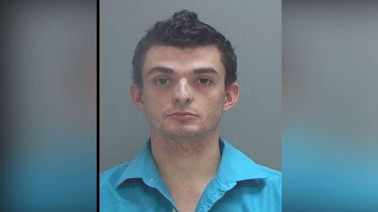 Man who allegedly brandished BB gun arrested in road rage incident