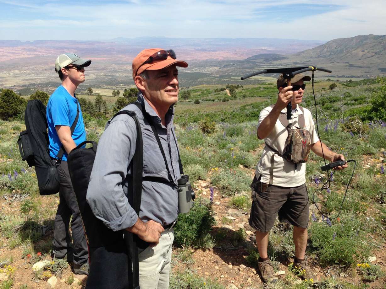 The Henry Mountains bison herd is disease-free, showing no signs of brucellosis, a crucial factor in determining the long-term conservation potential value of a herd. Researchers, seen here, use GPS devices to help track the herd. Credit: Dominique Debucquoy-Dodley/CNN