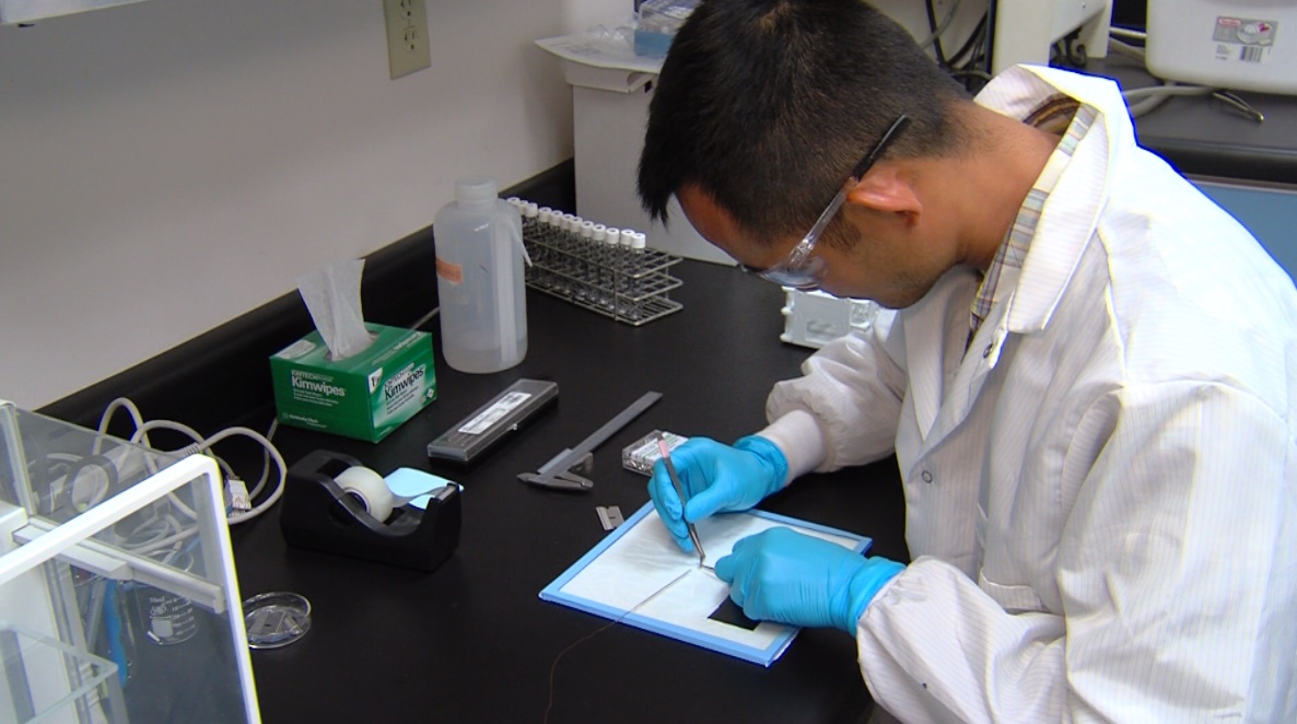 Researchers at IsoForensics Inc., in Salt Lake City, analyze the chemical isotopes of hair to pinpoint a specific area a victim could be from. (Photo: Eric Betts, Deseret News)