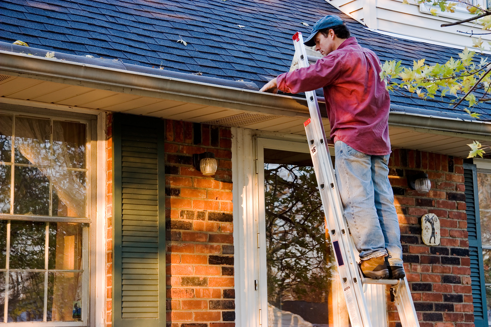 6 fall home maintenance musts