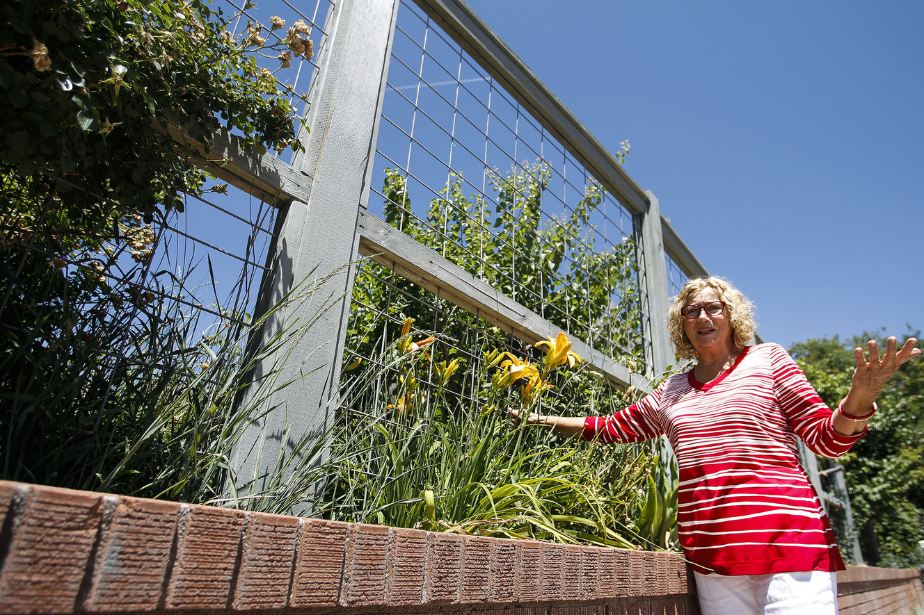 Provo may draft archers to tackle growing deer troubles