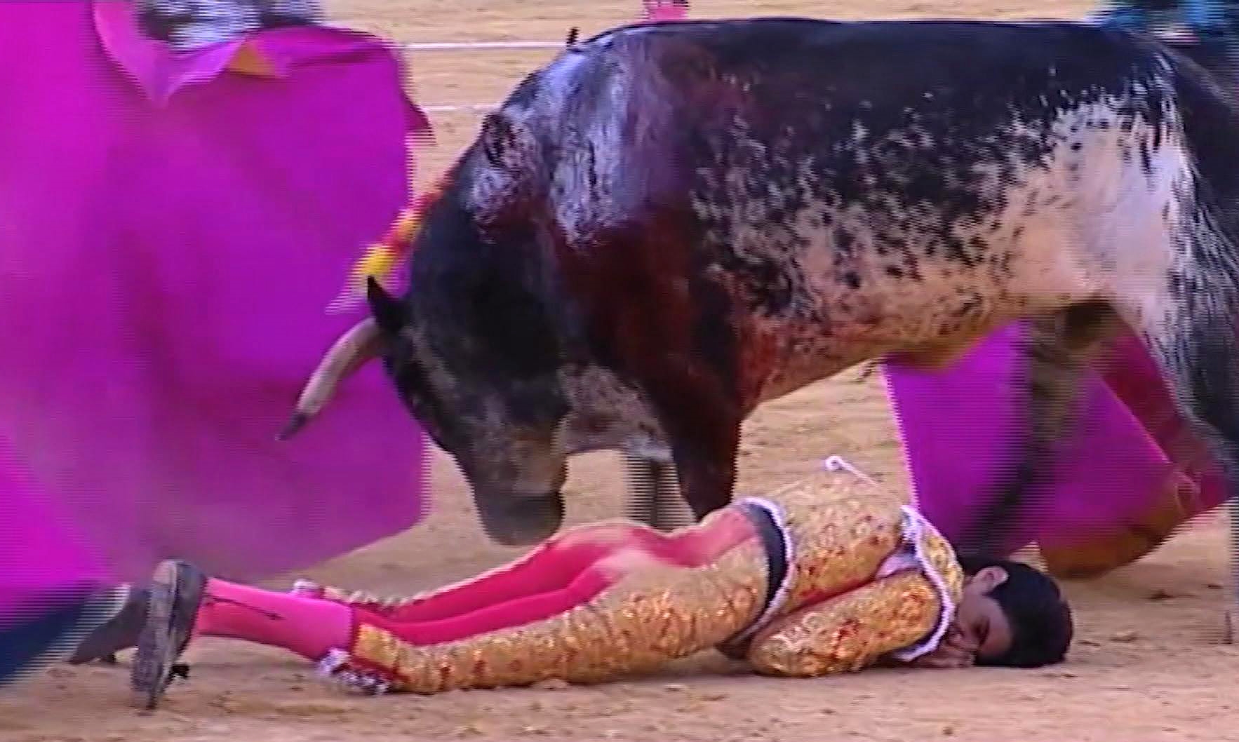 Hundreds attend funeral of gored bullfighter in Spain