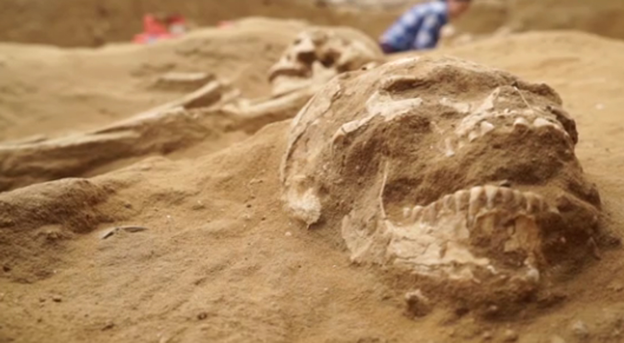 Is this Goliath's burial site? 1st-ever Philistine cemetery discovered