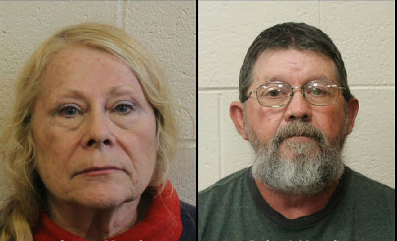 Authorities: Maryland couple arrested, 310 dogs seized
