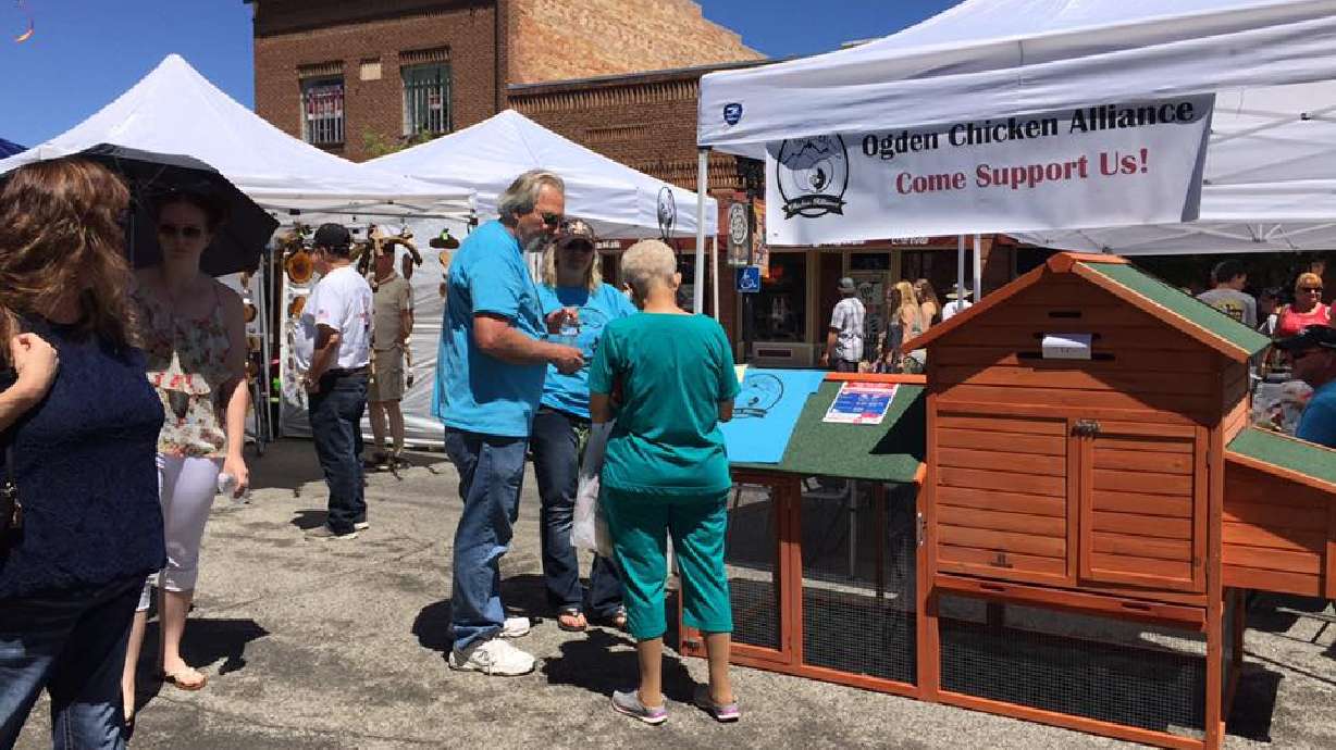 Ogden group hopes for chickens in their own backyards