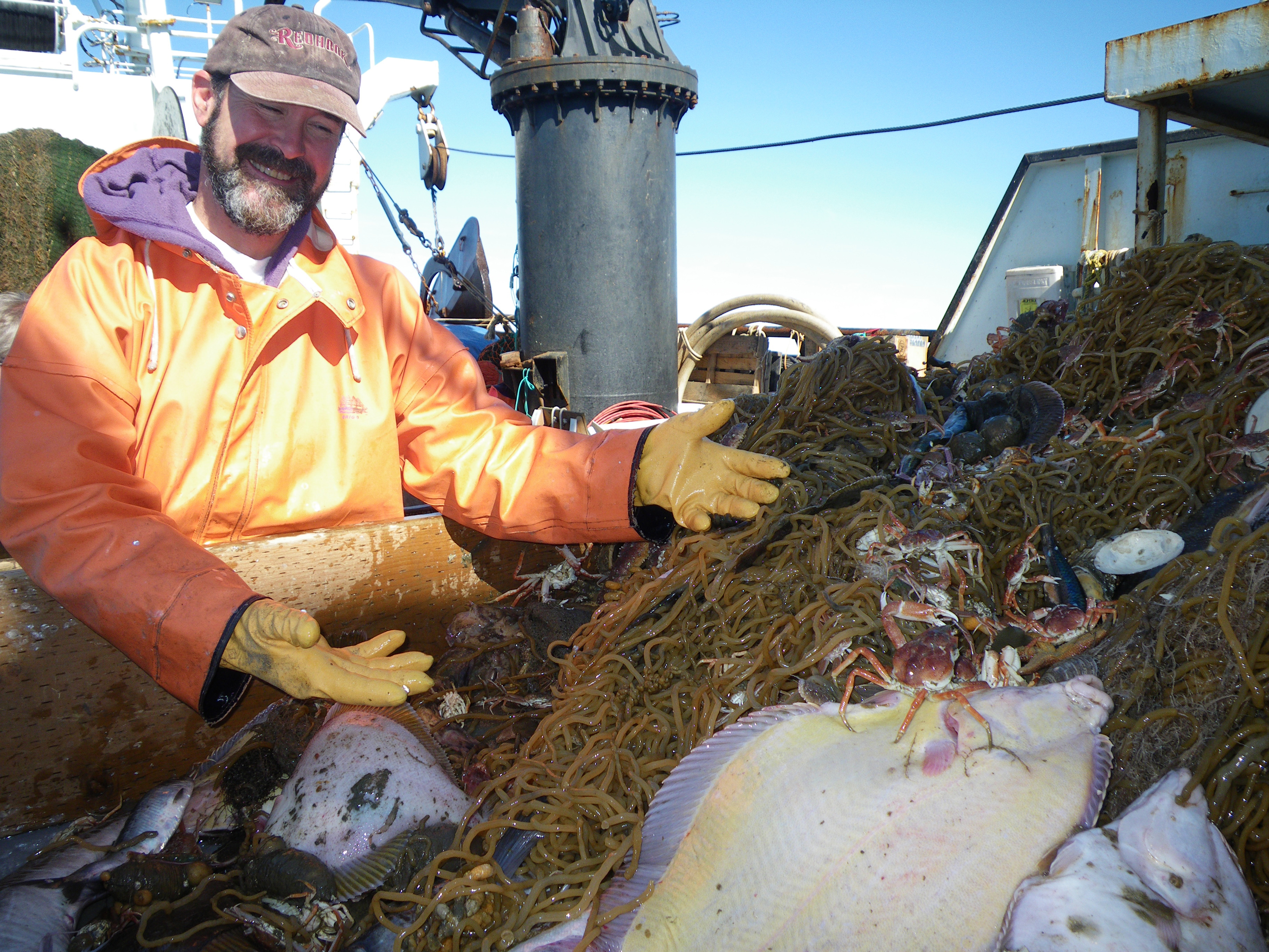 Surveys off Alaska lead to new types of soft-bodied fish