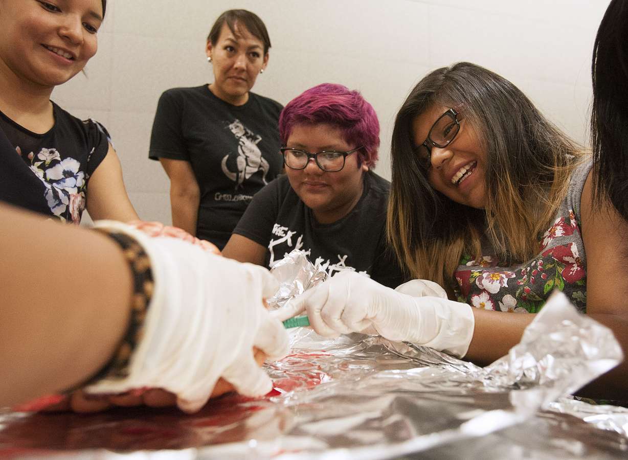 Marcia Checora, right, dissects a cow heart with others at the University of Utah in Salt Lake City on Wednesday, July 13, 2016. The dissection was part of a field trip for Ute teens to connect with higher education. (Photo: Hans Koepsell, Deseret News)