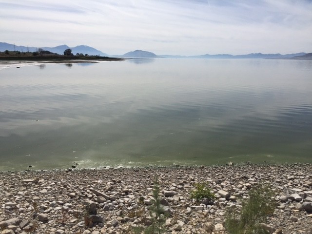 Lawmakers issue 'call to arms' to help struggling Utah Lake