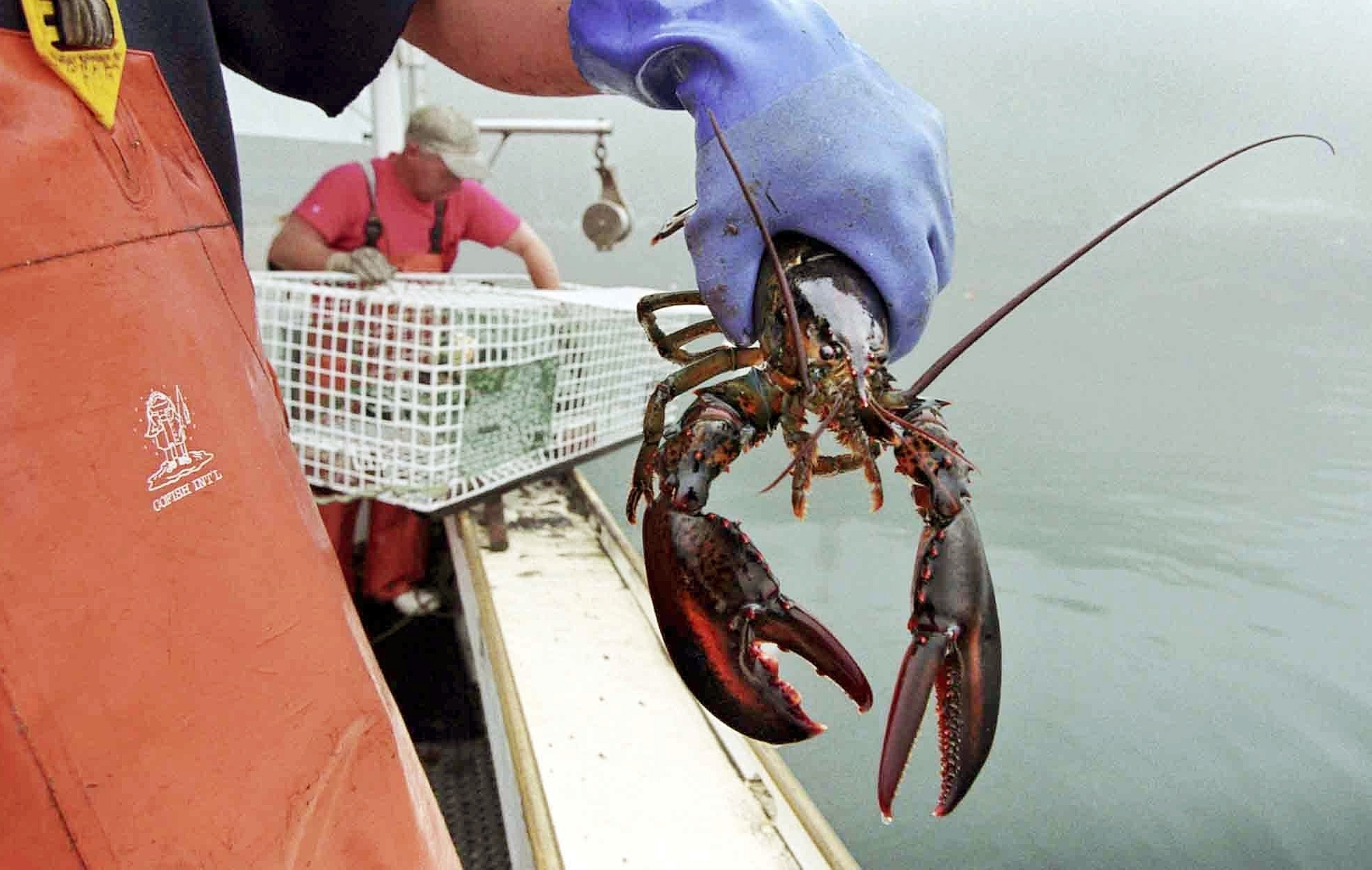 Senate again signs off on Sept. 25 as National Lobster Day