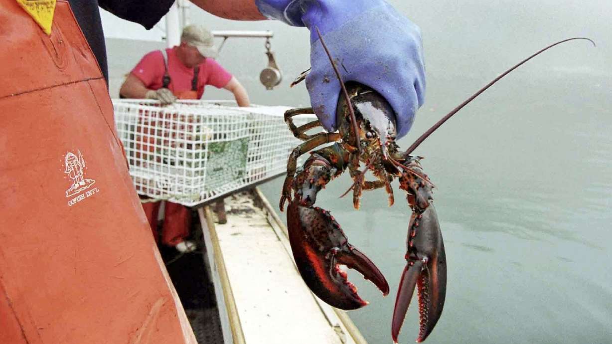 Senate again signs off on Sept. 25 as National Lobster Day