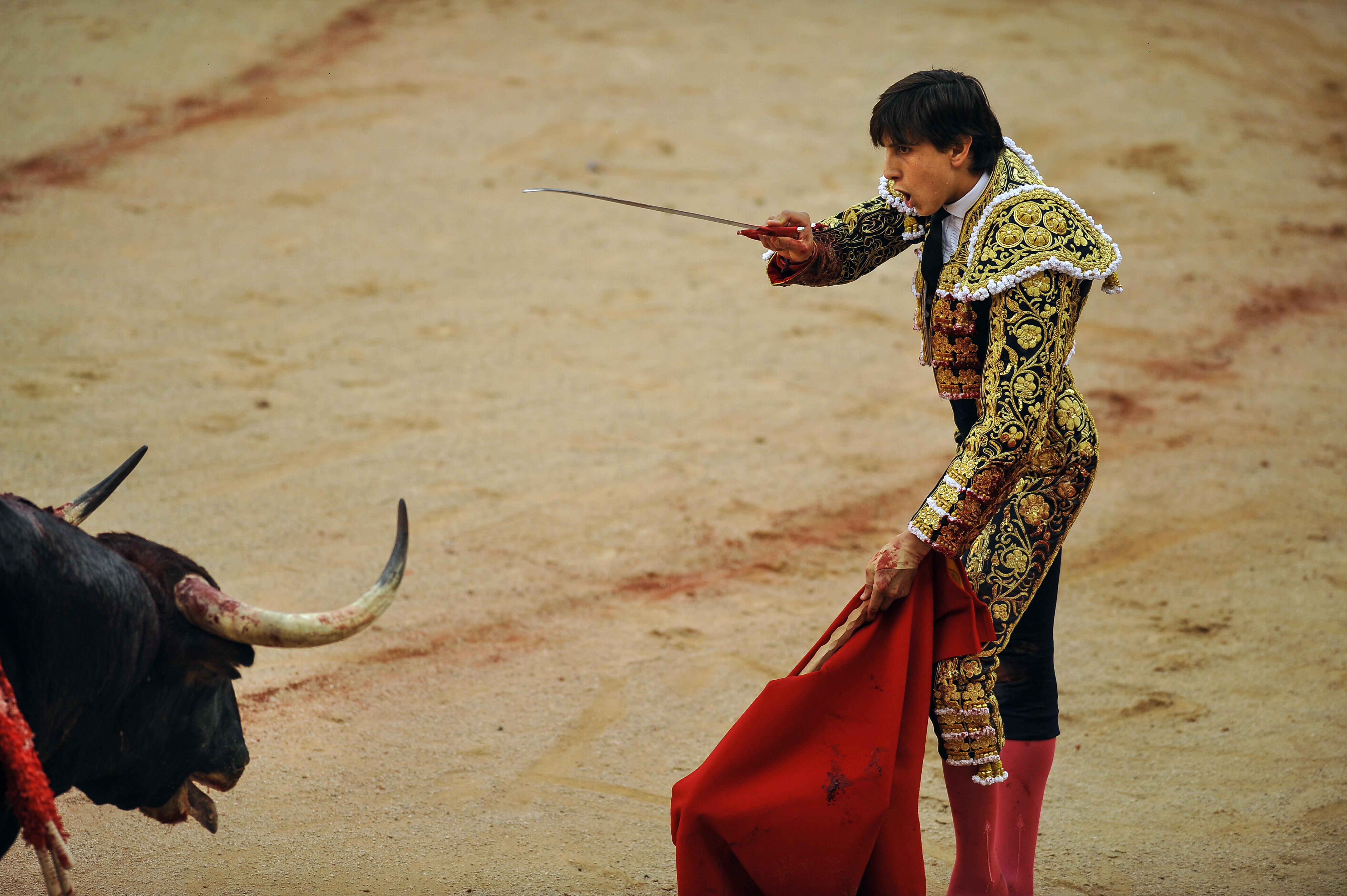 Spain: 9 injured, no one gored in final Pamplona bull run