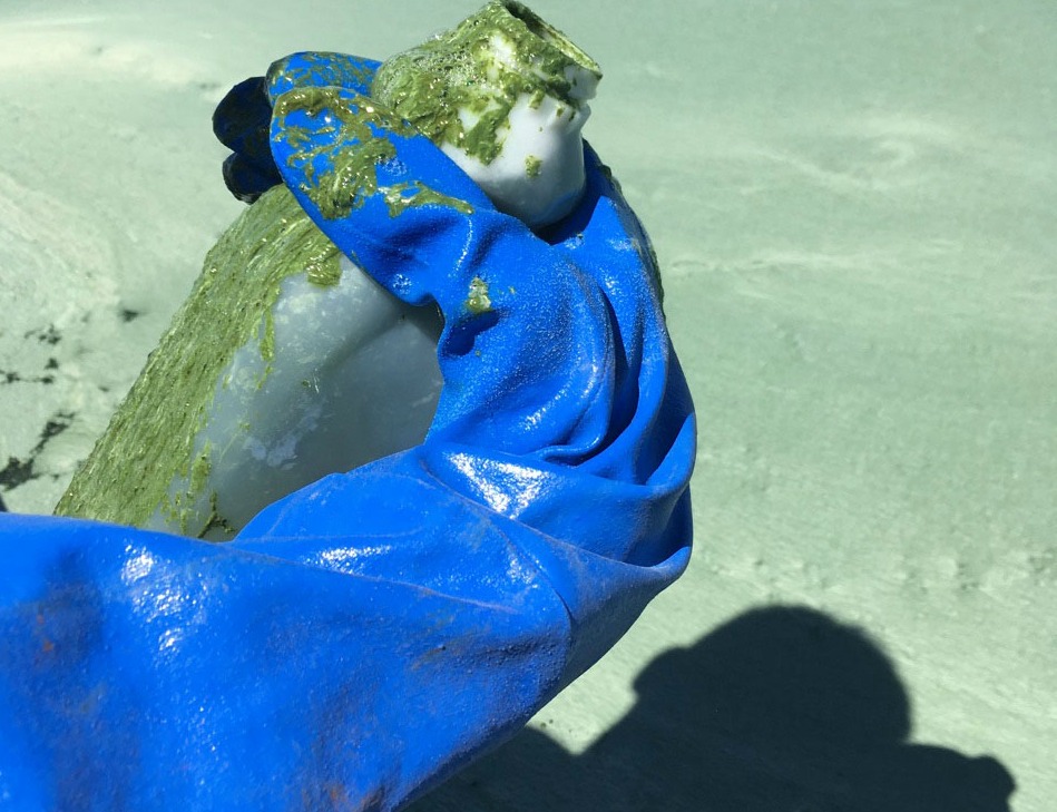 Crews began testing for algal bloom toxins at Utah Lake on July 13, 2016. The algae produces potentially life-threatening toxins. (Photo: Utah Department of Environmental Quality)