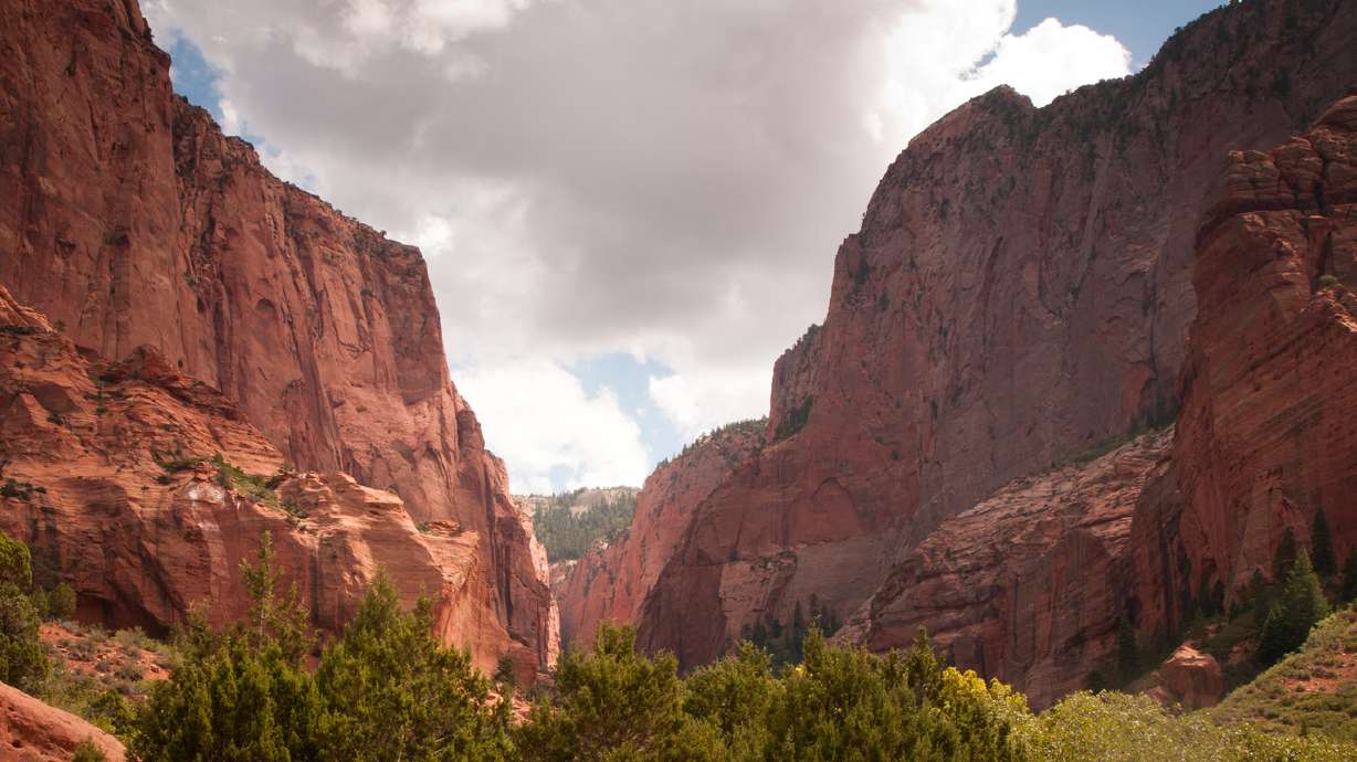 2 hiking trails in Kolob Canyon provide unmatched solitude
