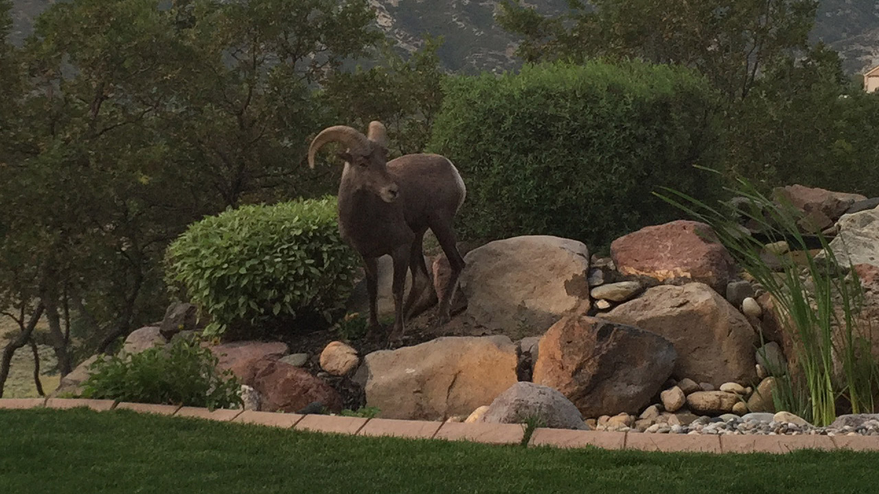 Photo credit: Mark Runia