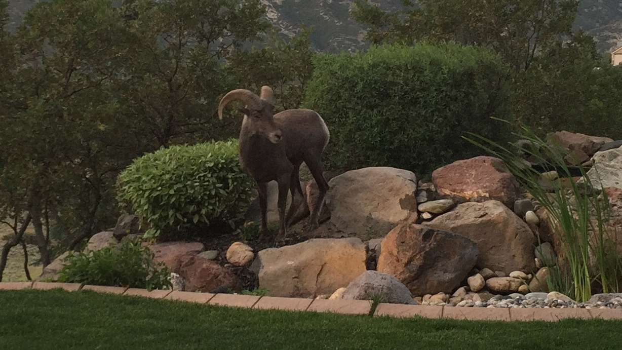 Photo credit: Mark Runia