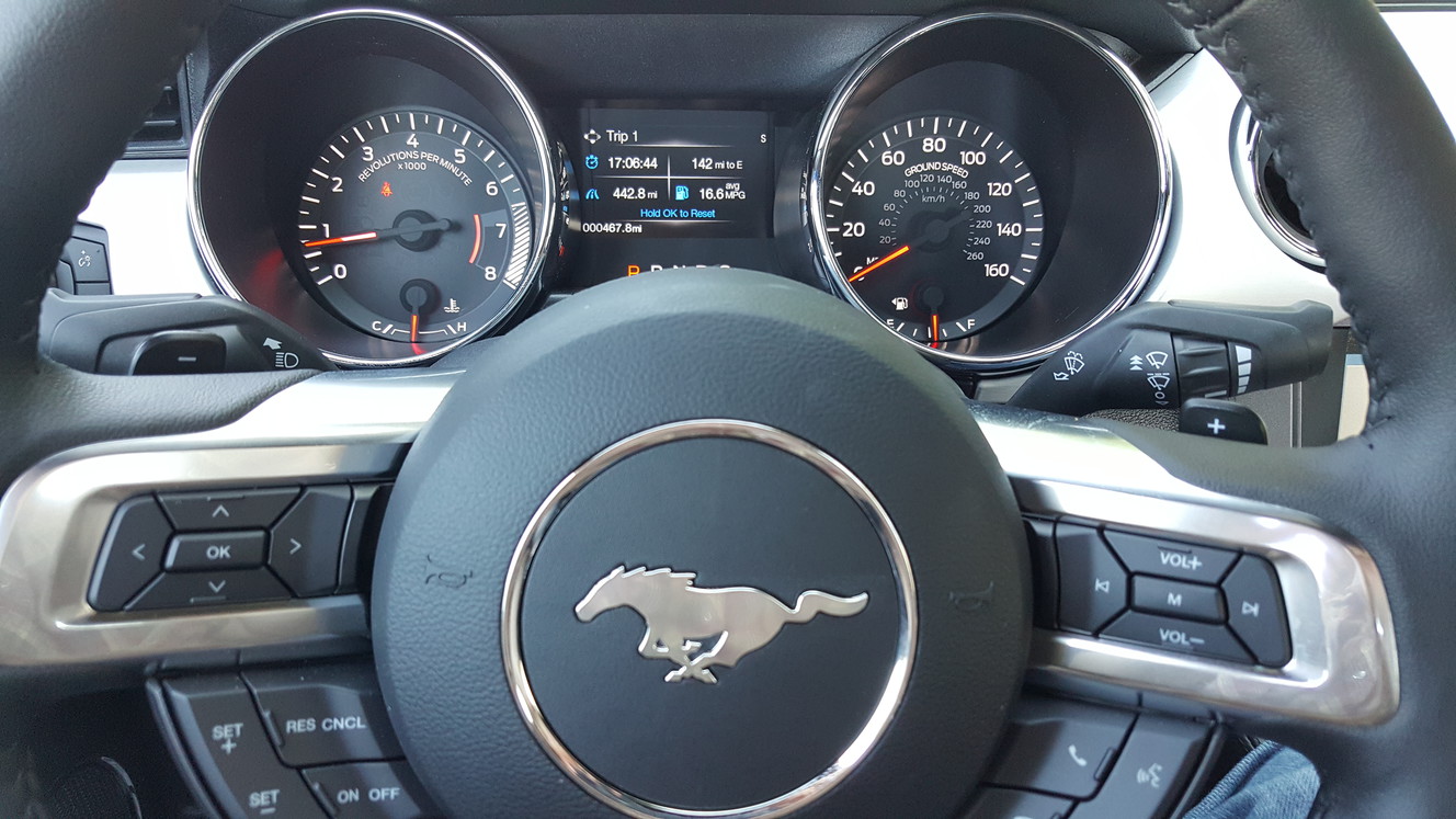 Photo credit: Mike Stapley