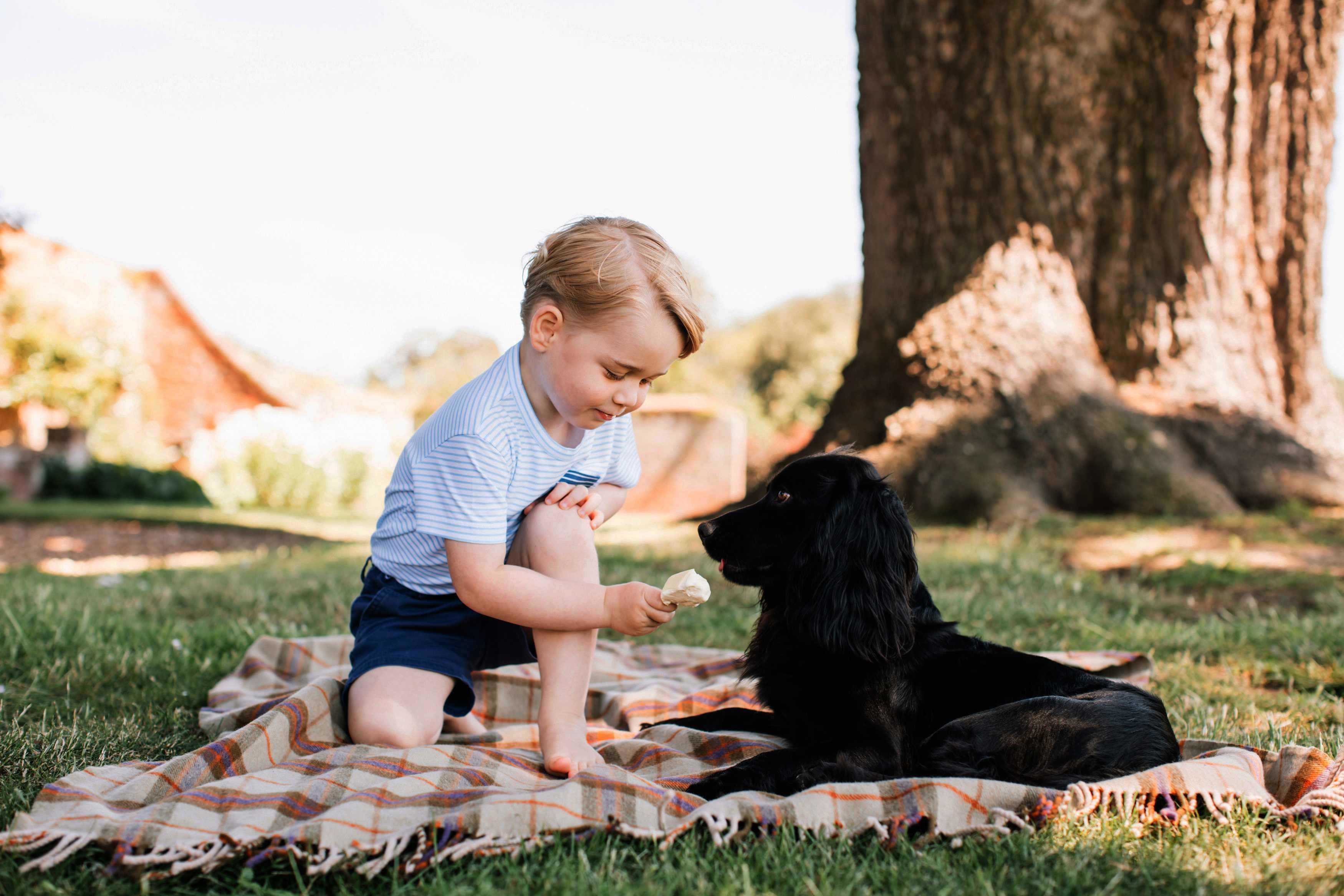 William and Kate release photos for Prince George's birthday