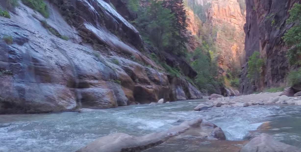 Photo credit: Mike Godfrey, At Home in Wild Spaces