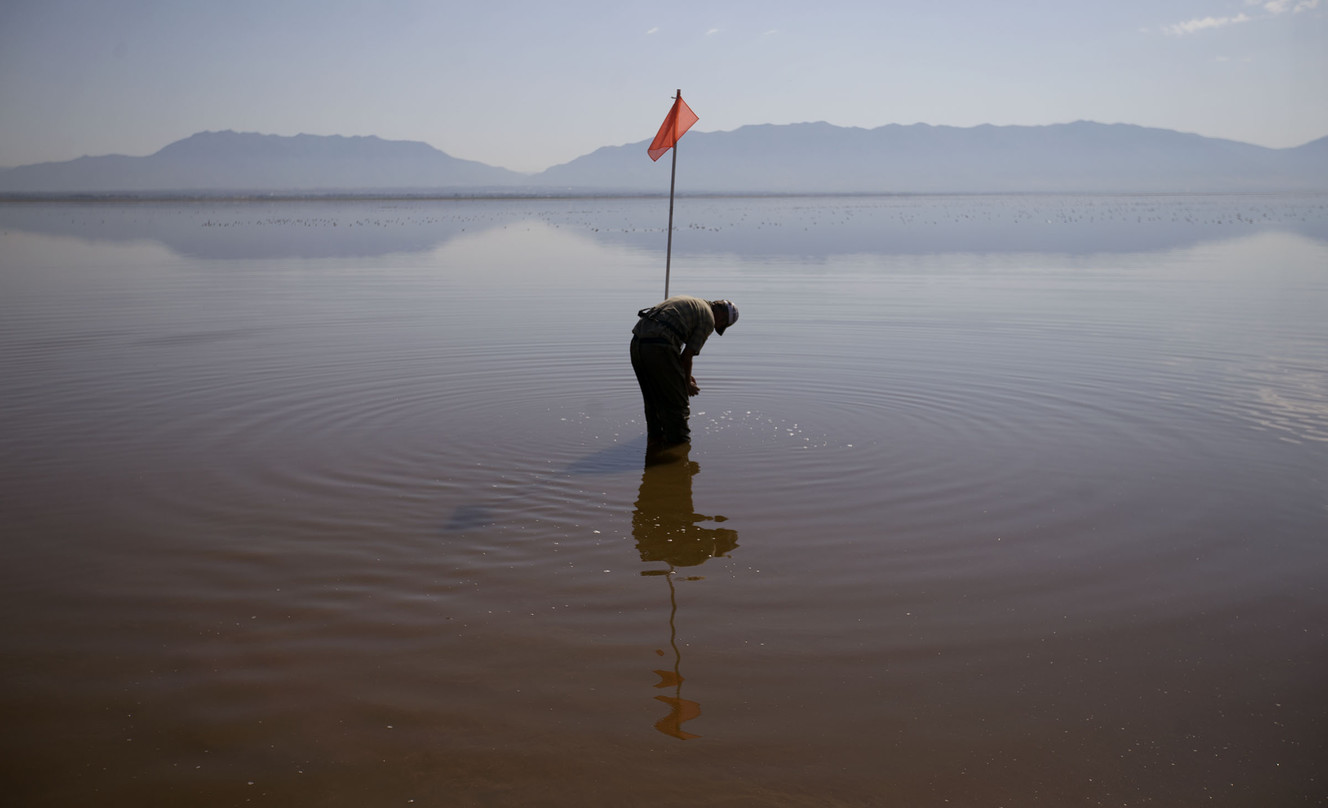 Environmental scientist Marshall Baillie of the Department of Environmental Quality's Division of Water Quality for the State of Utah collects data from a sonde in Farmington Bay on Friday, July 29, 2016. Data collected from the sonde will be used to interpret the water quality in Farmington Bay. (Photo: Laura Seitz, Deseret News)