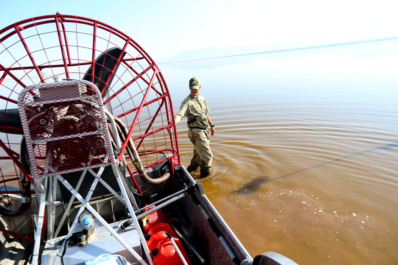 Scientists collect data at Farmington Bay; no harmful algal bloom detected