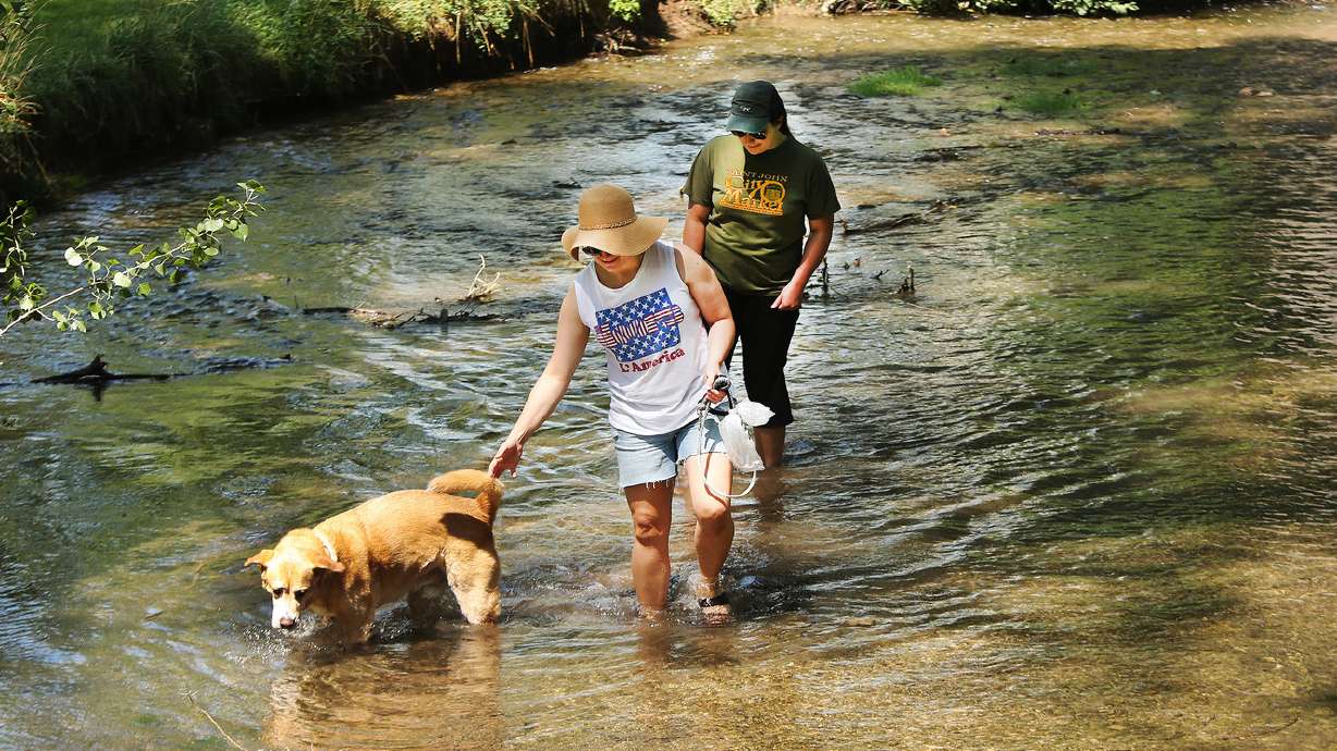 July was hot but fell short of record for 100-degree days