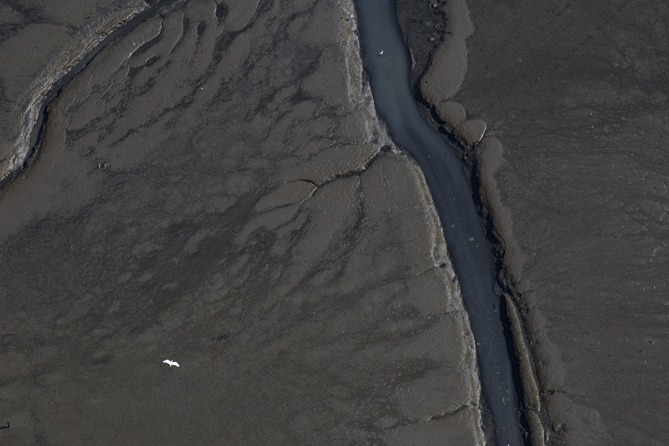 Expert to Rio athletes: 'Don't put your head under water'