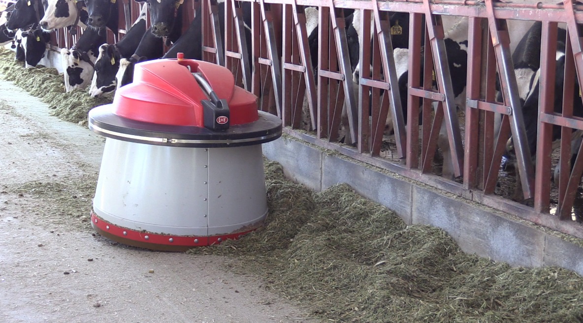 A robot named Juno travels through the barn sweeping feed toward the mouths of hungry cows. (Photo: John Hollenhorst, Deseret News)